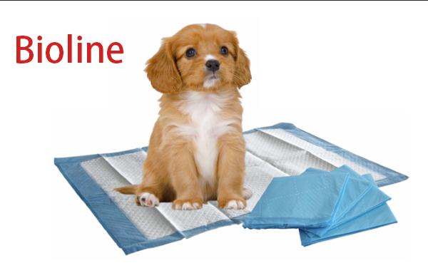 宠物训导尿垫适合狗狗吗？